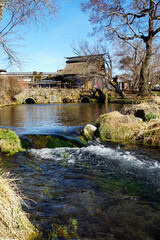 忍野八海の澄んだ湧水と茅葺き屋根の家