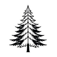 Obraz premium pine tree