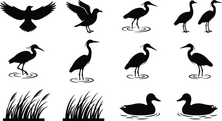 Bird silhouettes collection featuring heron egret duck flying standing poses wetland wildlife vector icons isolated on white background illustration design set nature water birds © Sawda's World