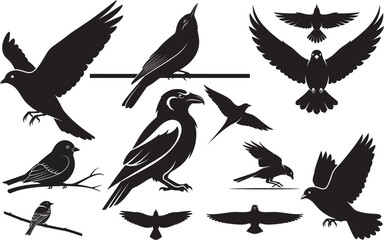 Obraz premium Silhouette of various birds isolated on transparent background