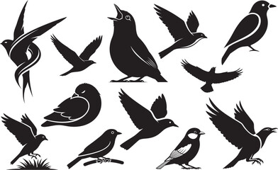 Silhouette of various bird species isolated on transparent background