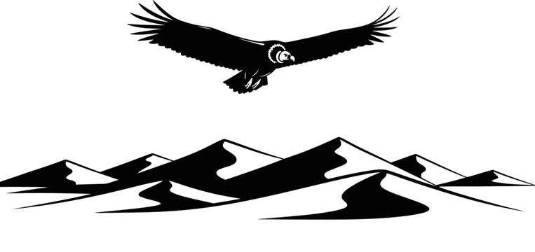 Majestic Andean Condor Soaring Over Vast Desert Dunes Silhouette