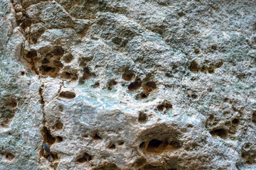 Weathered limestone rock surface with natural holes and rough texture close up. Background
