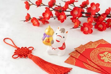 Celebrating chinese new year with traditional decorations isolated on white background