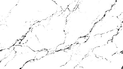 Obraz premium A striking close up view of a white marble texture with bold dark gray veining patterns throughout
