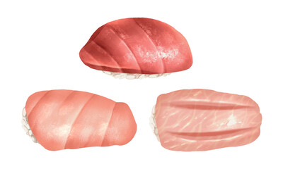 Premium realistic hand drawn watercolor omakase style japanese sushi set featuring 3 grades of bluefin tuna or maguro nigiri include akami, chutoro and otoro. Transparency background.