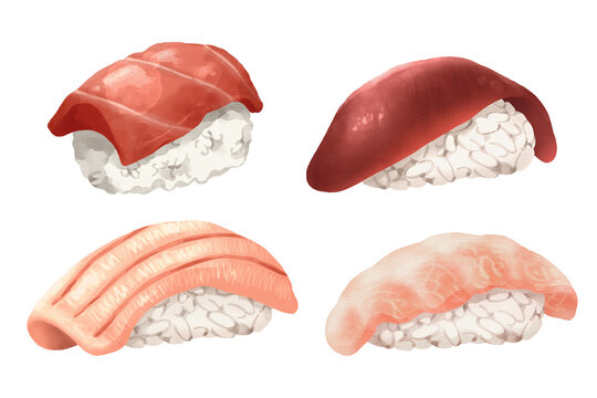 Premium realistic hand drawn watercolor omakase style japanese sushi set featuring 4 grades of bluefin tuna or maguro nigiri include standard tuna, akami, chutoro and otoro. Transparency background.