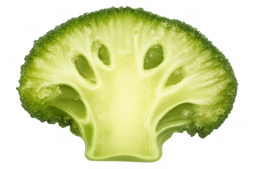 Broccoli cross section cut, showing green vegetable florets for healthy eating, nutrition, and organic food concepts