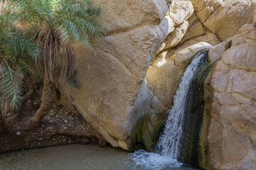 Oaza Chebika w Tunezji © witan