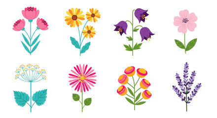 Vibrant Spring Flowers for Web Design, Marketing, and Joyful Greeting Cards