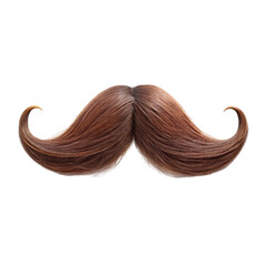 Brown Handlebar Moustache Isolated on White