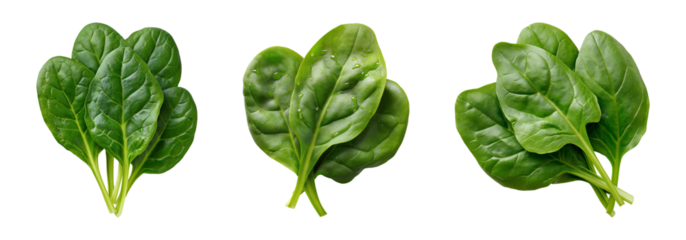 Set of Green spinach leaves isolated on transparent background, PNG format, cut out