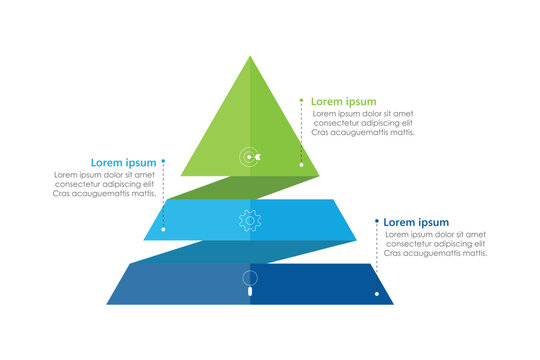vector infographic design with 3 options or steps.