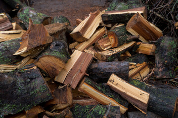 chopped fruit firewood for heating the house or for cooking meat on the grill
