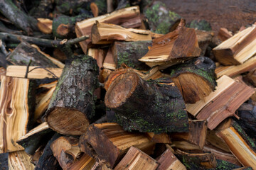chopped fruit firewood for heating the house or for cooking meat on the grill