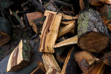 chopped fruit firewood for heating the house or for cooking meat on the grill