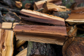 chopped fruit firewood for heating the house or for cooking meat on the grill