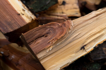 chopped fruit firewood for heating the house or for cooking meat on the grill