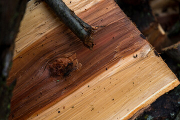 chopped fruit firewood for heating the house or for cooking meat on the grill