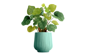 Green plant in a round blue pot with textured lines placed on a plain background