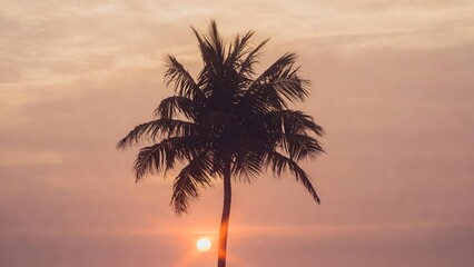 Silhouette of a tall tropical palm tree standing against a vibrant warm sunset sky with soft clouds