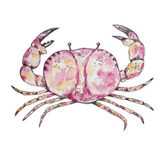 Watercolor crab illustration isolated, underwater animals ocean.