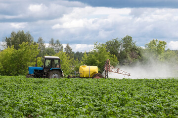 A tractor sprays fresh potatoes with pesticides. This pest control process is essential for growing and protecting plants