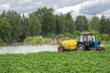 A tractor sprays fresh potatoes with pesticides. This pest control process is essential for growing and protecting plants