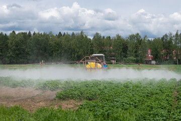 A tractor sprays fresh potatoes with pesticides. This pest control process is essential for growing and protecting plants