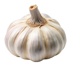 Whole Garlic Bulb on White Background