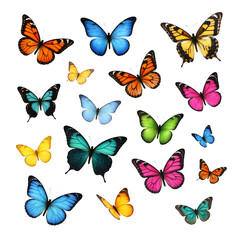 Colorful Butterfly Collection on White Background - Variety of Species