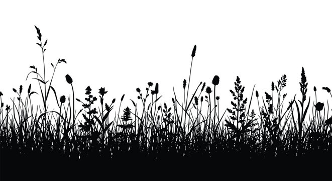 Horizontal black silhouette of a wild meadow with various types of grass herbs and field flowers on a clean white background.