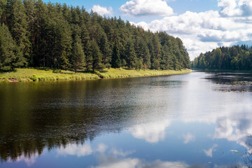The Medveditsa River in the Tver region on a sunny summer day