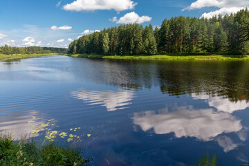 The Medveditsa River in the Tver region on a sunny summer day