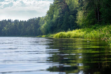 The Medveditsa River in the Tver region on a sunny summer day