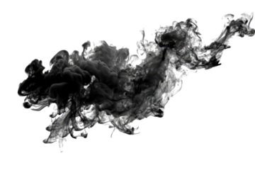 Black smoke swirls in the air against a white background during a creative art session capturing fluid dynamics