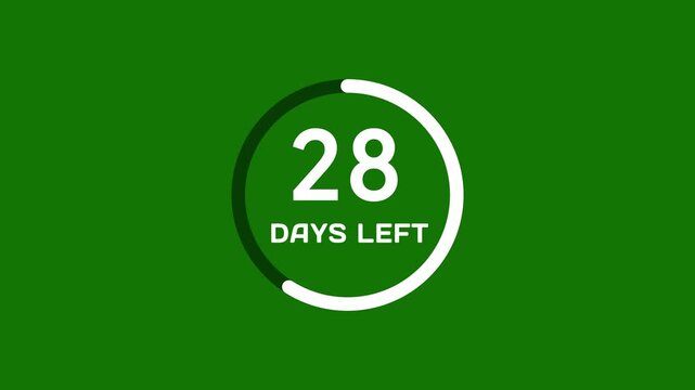 48 Days countdown timer number animation. Countdown timer days left animation.