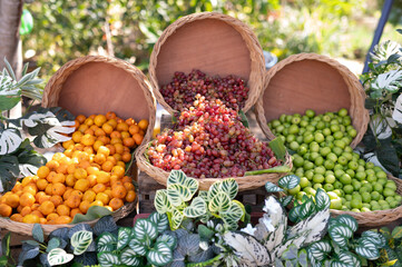 Abundance of seasonal fruits: Grapes, oranges, and jujubes in wicker baskets