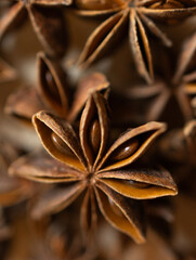 Macro close up of star anise spice pods showing natural texture and warm brown tones, aromatic ingredient used in baking, tea, and traditional cuisine, perfect for food and spice concepts.