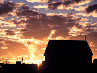 sunset over the city