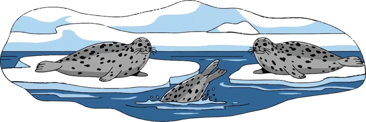 Three seals in icy waters, one diving, two resting on ice floes © Rani