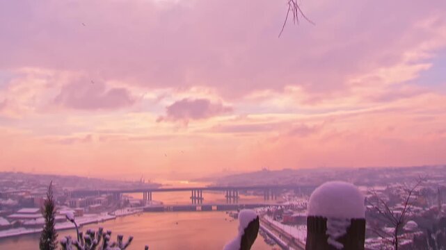 Snow Covered Tree to Historic Tombstones and Golden Horn View