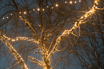 Detailed shot of small LED bulbs on a dark tree trunk. Warm golden glow with a shallow depth of field, highlighting the magic of winter nights.
