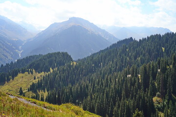 Fototapeta premium The Oi-Karagai Gorge. Mountainous area with different vegetation. Ile-Alatau National Park.