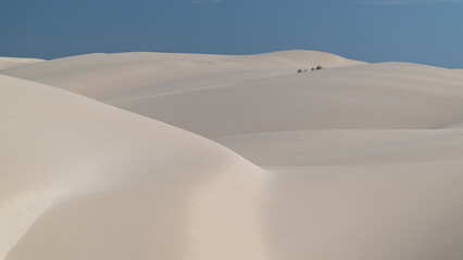 Minimalist White Sand Dunes in Viana Desert, Boa Vista Island