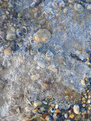 Frozen Pebbles Trapped In Ice