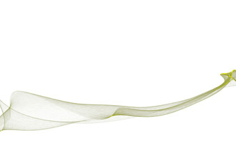 Translucent Green Ribbon Wave on White