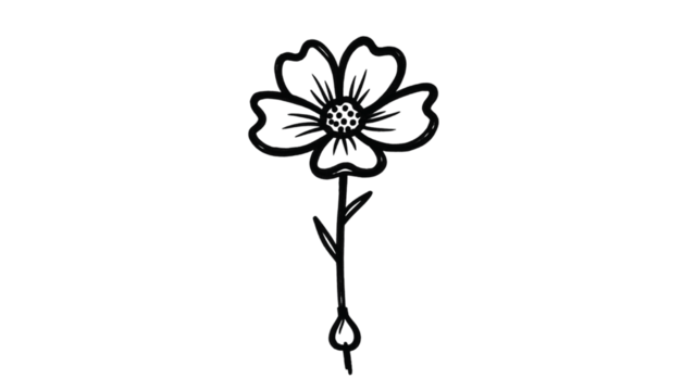 Simple hand-drawn black and white line art illustration of a single flower with five petals on a stem with small leaves. - Powered by Adobe