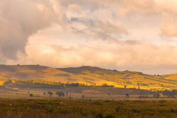 Golden hour sunlight bathes rolling hills and valleys in the Western Cape, South Africa. Dramatic...