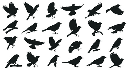 A very large and diverse collection of small songbird silhouettes in various flying perching and standing poses.